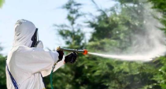 Disinfestazione zanzare