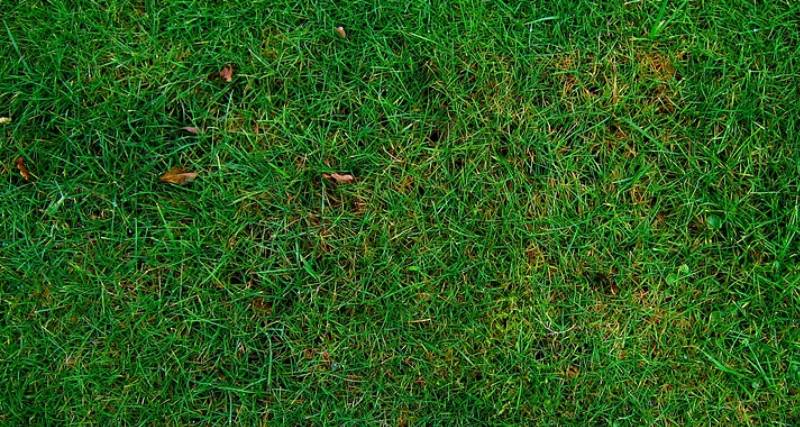 Impegno per la Sostenibilità